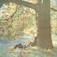 John Lennon Plastic Ono Band (180 Gram Vinyl)