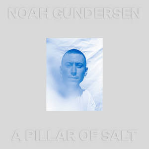 Noah Gundersen A Pillar of Salt (Limited Edition, Transparent Clear Vinyl) (2 Lp's)