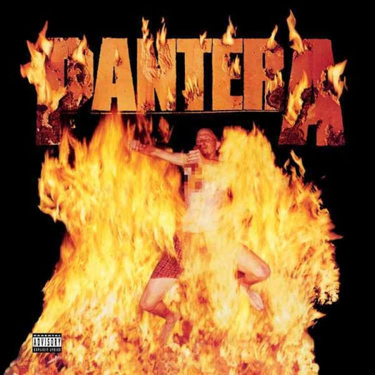 Pantera Reinventing the Steel (180 Gram Vinyl)