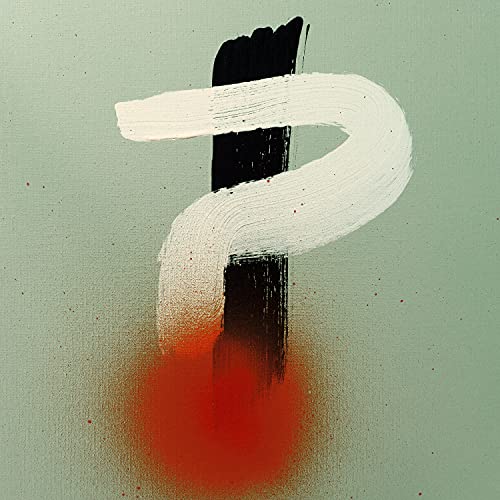 Switchfoot interrobang [LP]